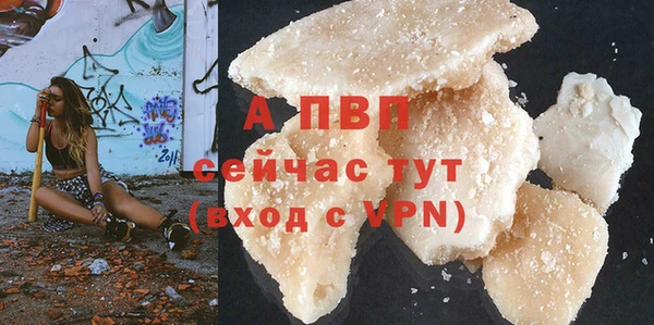 СК Верея