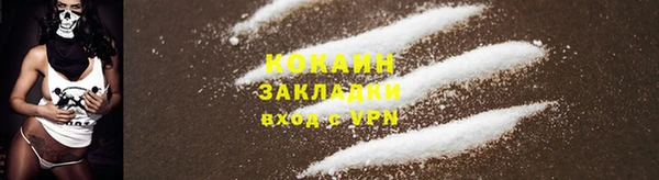 стафф Верхний Тагил