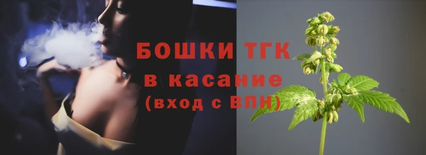 стафф Верхний Тагил