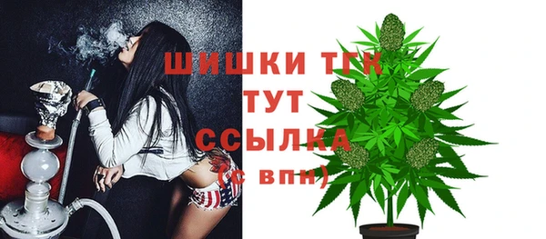 стафф Верхний Тагил